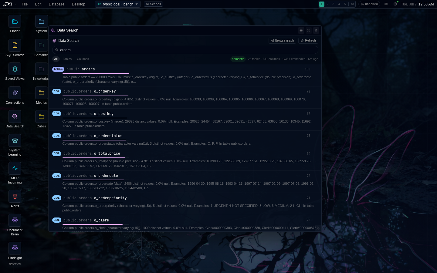 Data Search in Data Rabbit — free-text semantic search over the catalog, ranking tables and columns by what their data is about.
